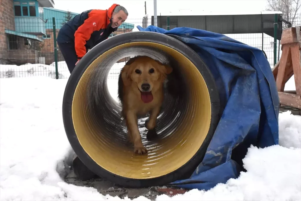 Köpük, Yeni Görevlere Hazırlanıyor