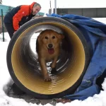 Köpük, Yeni Görevlere Hazırlanıyor