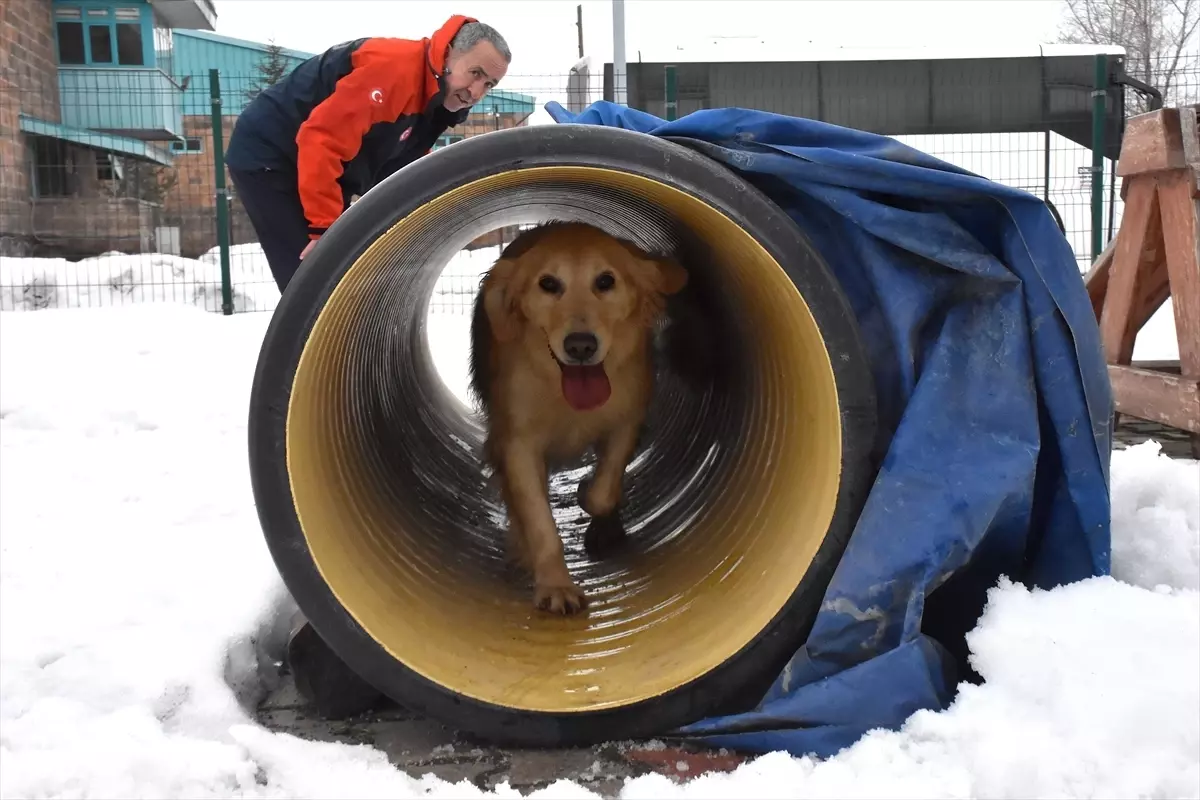 Köpük, Yeni Görevlere Hazırlanıyor