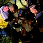 Korkunç olay! 50 metreden düştü, takıldığı ağaçlar hayatını kurtardı