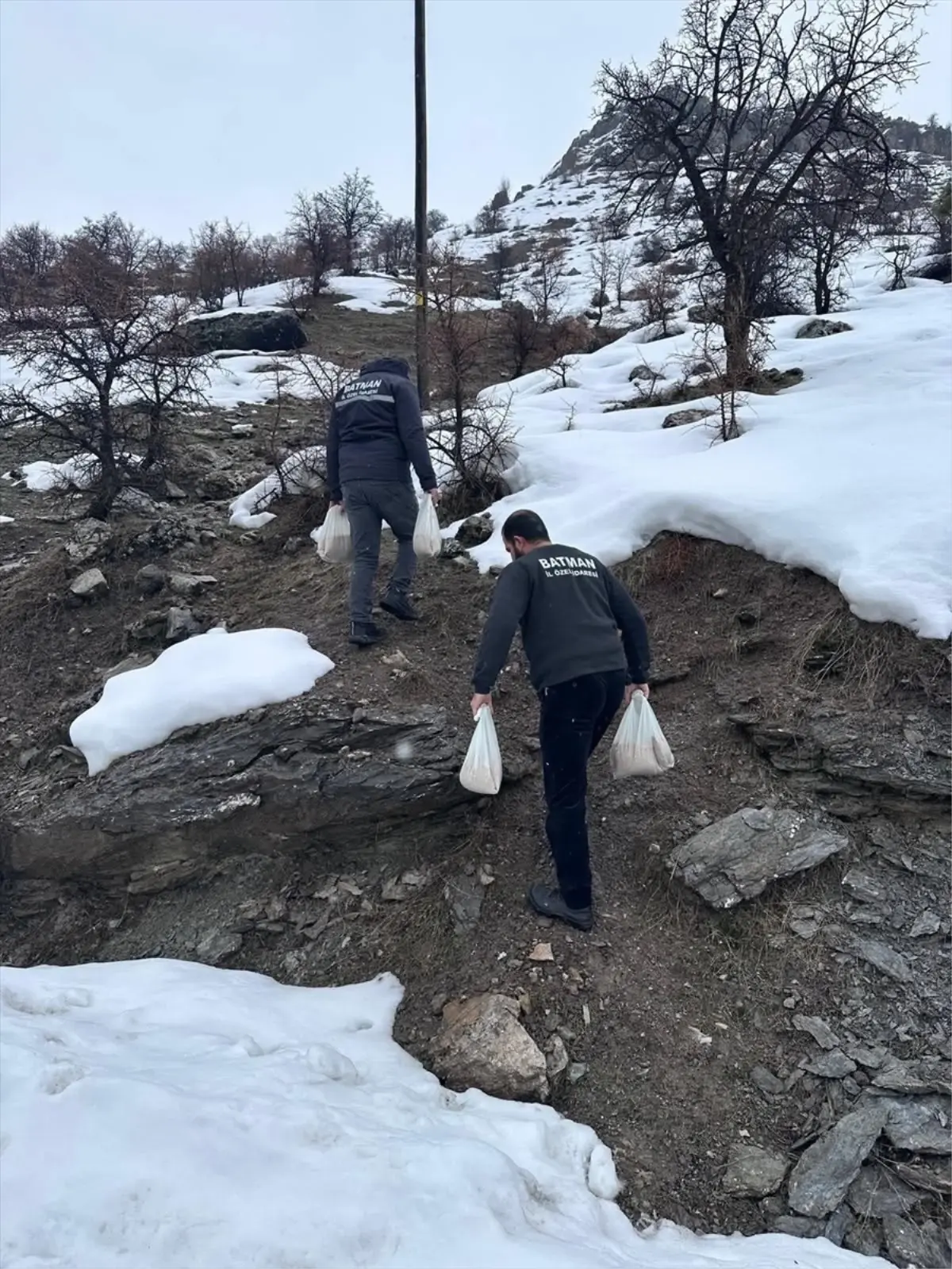 Kozluk’ta Yaban Hayvanları İçin Yem Bırakıldı