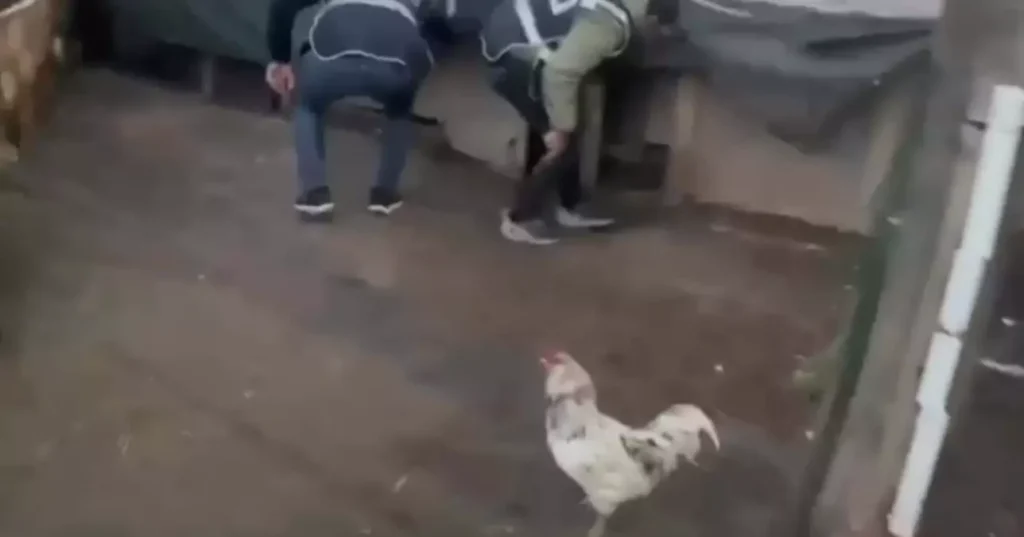 Kümeste Yakalanan Zanlı