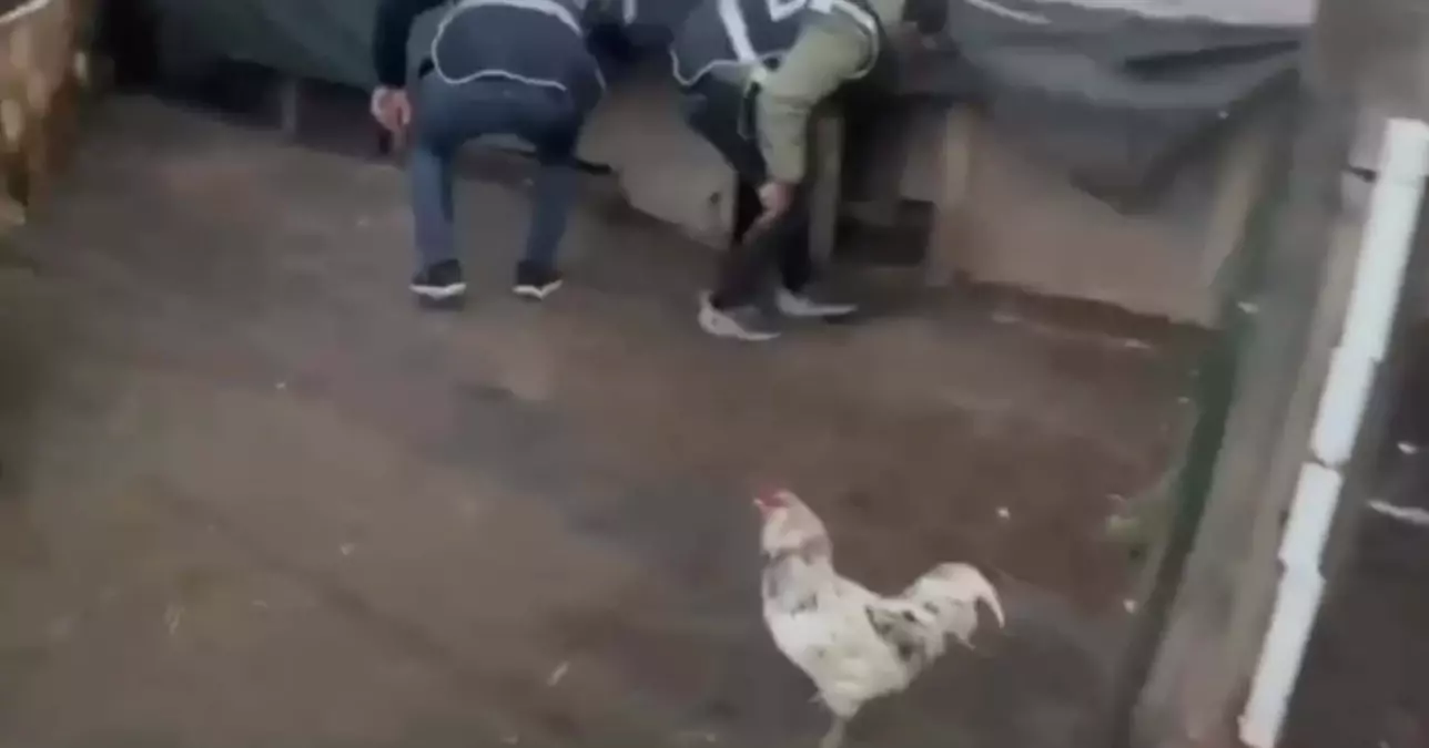 Kümeste Yakalanan Zanlı