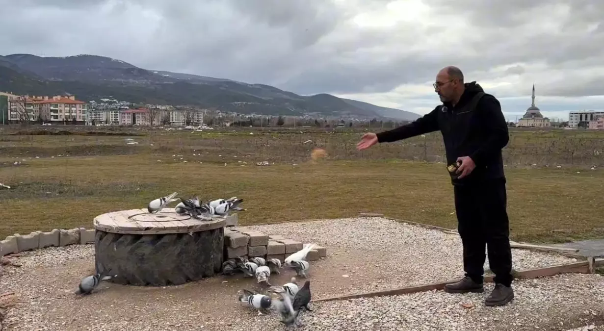 Kütahya’nın Güvercin Sevdası