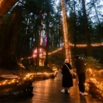 Kuzey Vancouver’da Aşk Işıkları Etkinliği