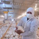 Lezita, Kahramanmaraş’ta Yeni Piliç Tesisi Kuracak