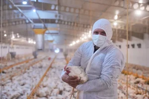 Lezita, Kahramanmaraş’ta Yeni Piliç Tesisi Kuracak