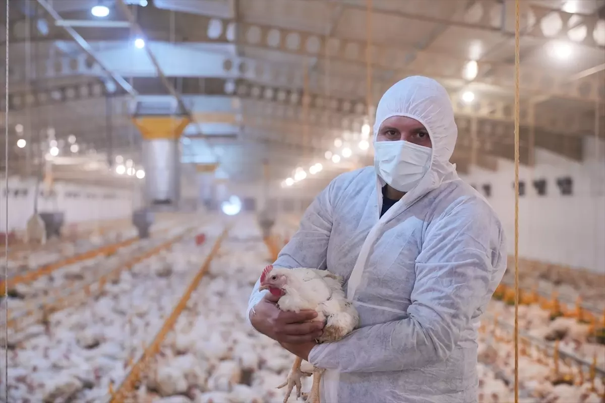 Lezita, Kahramanmaraş’ta Yeni Piliç Tesisi Kuracak