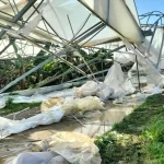 Manavgat’ta Hortum Zararları İncelendi