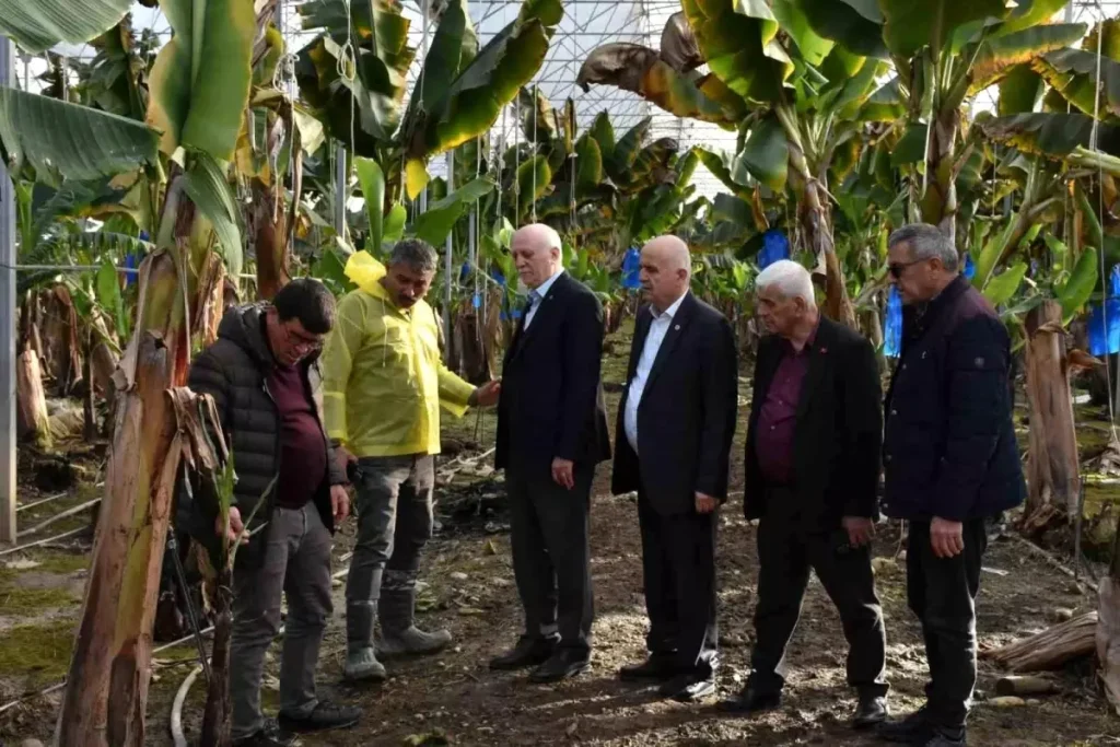 Manavgat’ta Hortum Zararları İncelendi