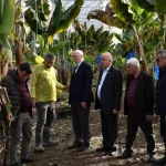 Manavgat’ta Hortum Zararları İncelendi