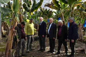 Manavgat’ta Hortum Zararları İncelendi