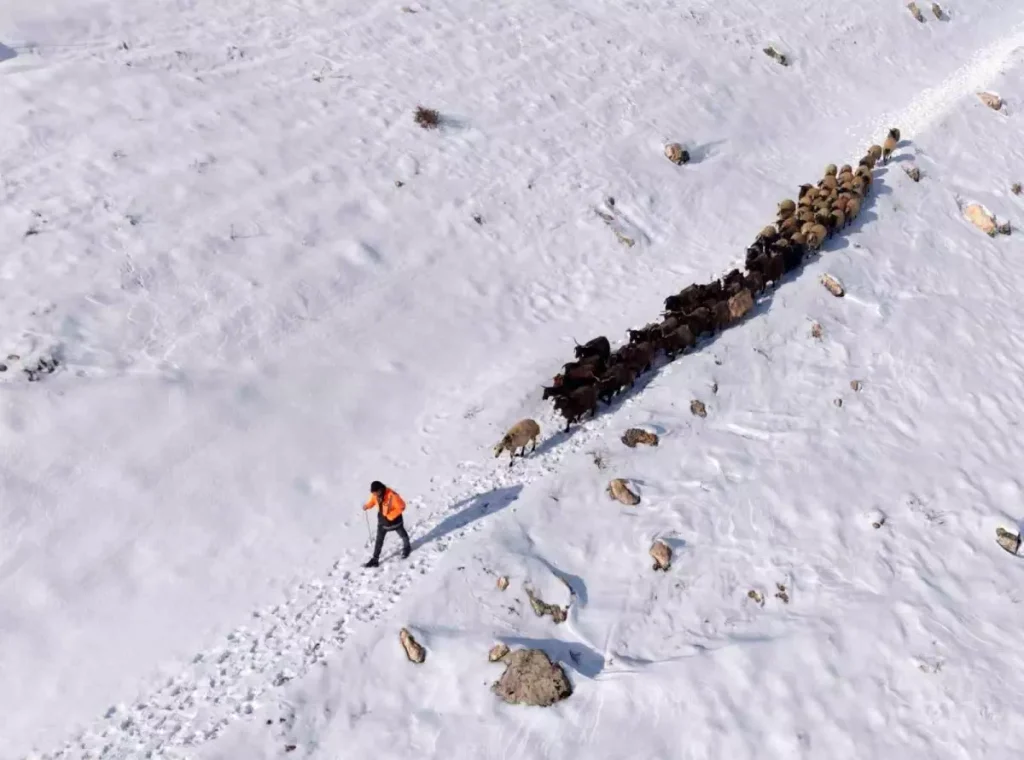 Mazıdağı’nda Kar Zorluğu