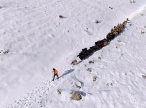 Mazıdağı’nda Kar Zorluğu