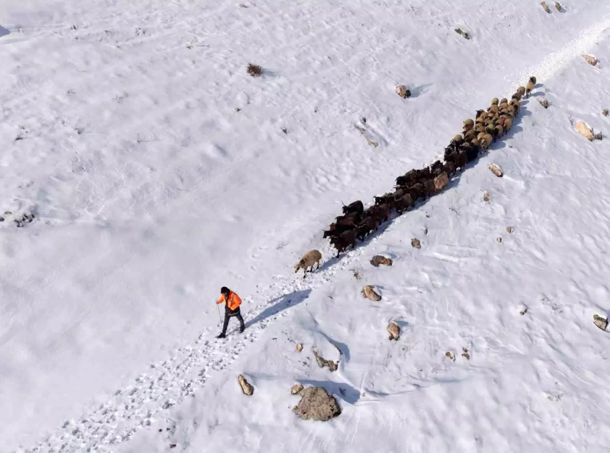 Mazıdağı’nda Kar Zorluğu