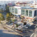 Menderes’te Sakız Ağacı Projesi