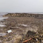 Mersin’de Sel Felaketi