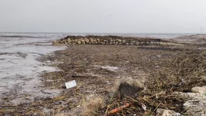 Mersin’de Sel Felaketi