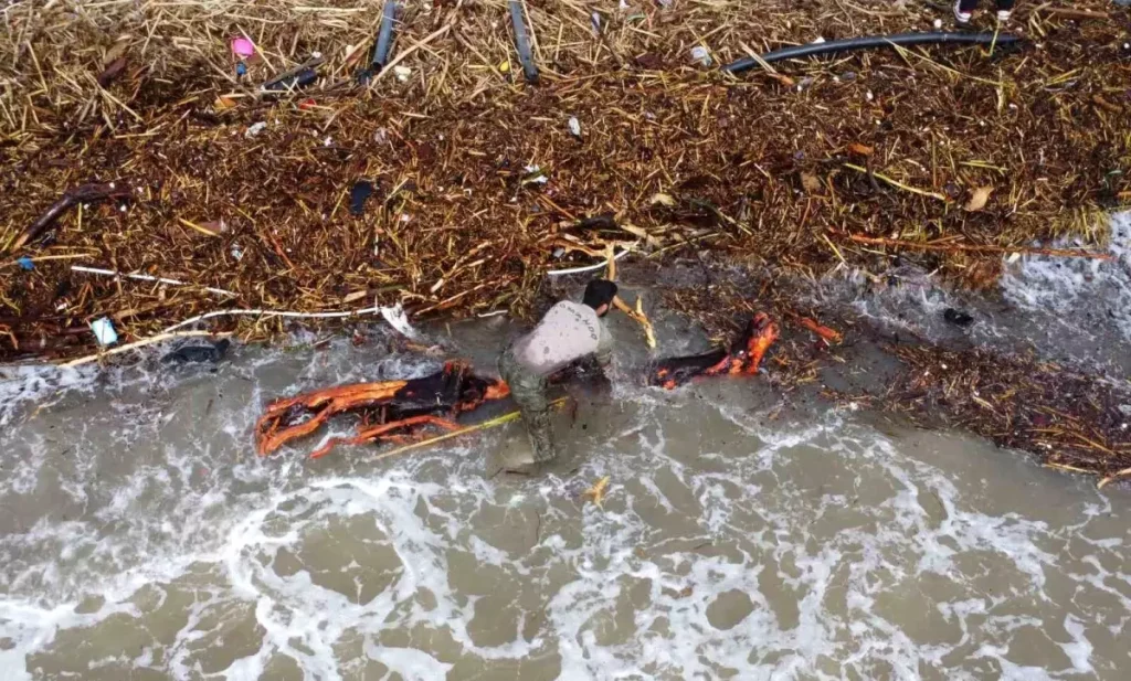 Mersin’de Sel, Sahilleri Odunlarla Doldurdu