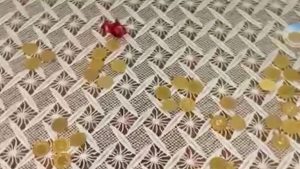 Mersin’de yaşlı kadının 3 milyon liralısını dolandırdılar: Polisten kaçamadılar