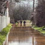 Muğla’da Kayıp Kadının Cesedi Bulundu