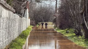 Muğla’da Kayıp Kadının Cesedi Bulundu