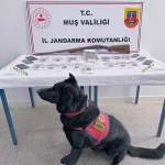 Muş’ta Uyuşturucu Operasyonu: 5 Şüpheli Tutuklandı