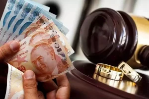 Nafaka sistemi baştan aşağı değişiyor: İşte yeni düzenlemenin detayları