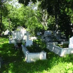 Ölülerden çalıp sattıklarıyla krallar gibi yaşamış! Rakam dudak uçuklatır