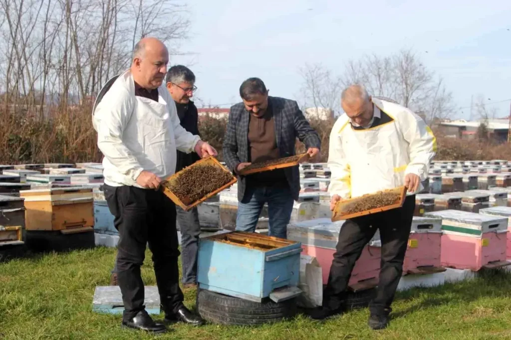 Ordu Arıcıları 2026 Sezonuna Hazırlanıyor