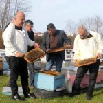 Ordu Arıcıları 2026 Sezonuna Hazırlanıyor