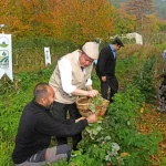 Osmangazi Belediyesinden dağ köylerinde ahududu seferberliği; hedef 100 dönüm