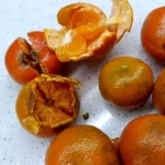 Pazardan aldığı 2 kilo mandalinanın yarısı çürük çıktı