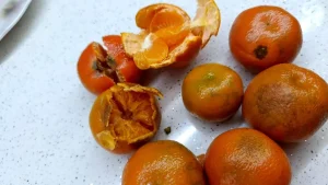 Pazardan aldığı 2 kilo mandalinanın yarısı çürük çıktı