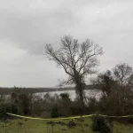 Sakarya’da Kayıp Gencin Cesedi Bulundu