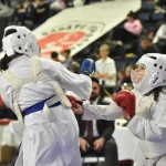 Sakarya’da Yıldızlar Karate Ligi Tamamlandı