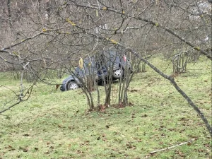 Samsun’da Kaza: 1 Ölü, 2 Yaralı