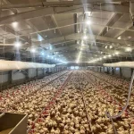 Samsun’da KKYDP Projeleri Tamamlandı