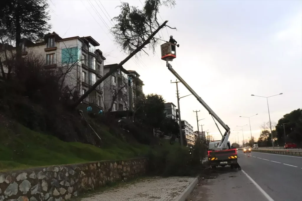Şiddetli Rüzgar Ağaç Devrtti, Elektrik Kesildi