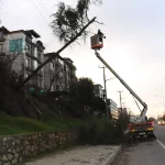 Şiddetli Rüzgar Ağaç Devrtti, Elektrik Kesildi