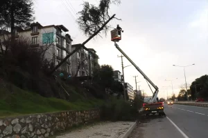 Şiddetli Rüzgar Ağaç Devrtti, Elektrik Kesildi