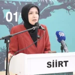 Siirt’te Kadın Kolları Çalıştayı