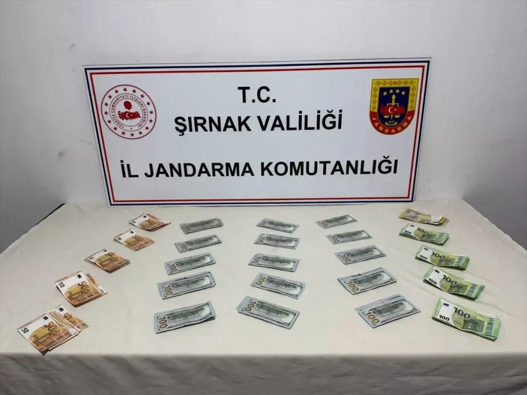 Şırnak’ta Kaçakçılık Operasyonları: 103 Gözaltı