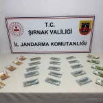 Şırnak’ta Kaçakçılık Operasyonları: 103 Gözaltı