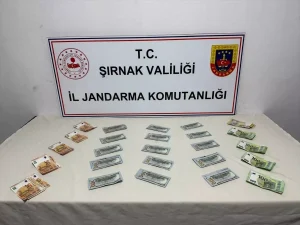 Şırnak’ta Kaçakçılık Operasyonları: 103 Gözaltı