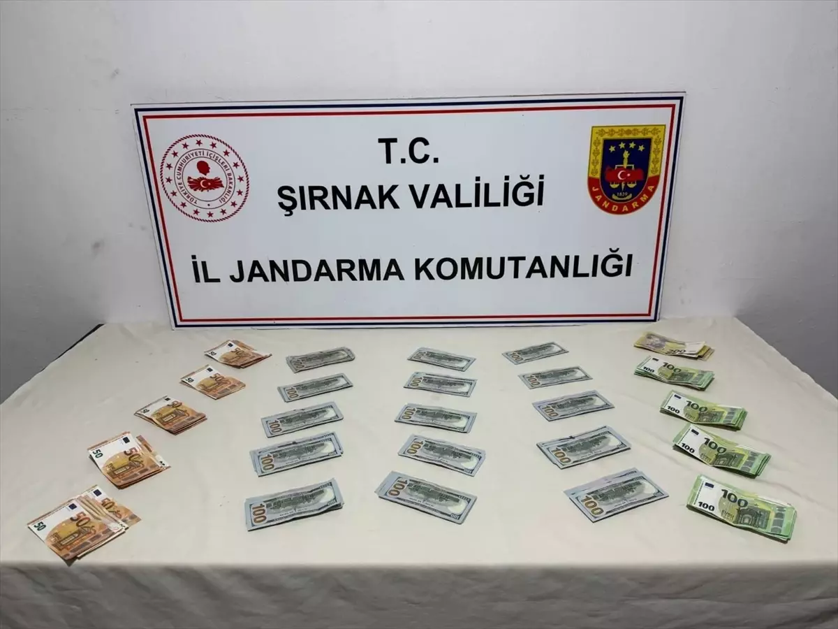 Şırnak’ta Kaçakçılık Operasyonları: 103 Gözaltı