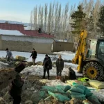 Sivas’ta Ağıldaki Koyunlar Kar Yüküyle Öldü