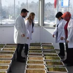 Soğuğa Dayanıklı Tohum Geliştirme Merkezi