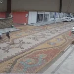 Sokak Köpeği Çocuğu Saldırdı, Esnaf Kurtardı