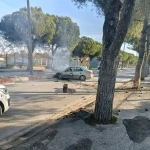 Soma’da Kaçan Sürücü Ağaçla Çarpıp Yaralandı
